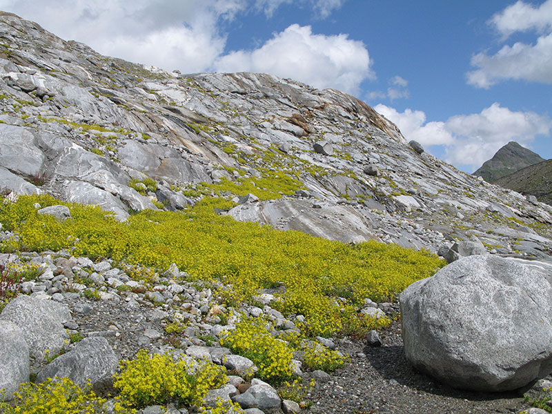 gletscherlehrpfad